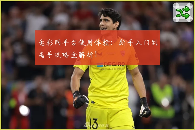 竞彩网平台使用体验：新手入门到高手攻略全解析！