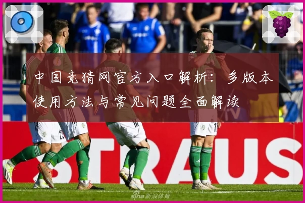 中国竞猜网官方入口解析：多版本使用方法与常见问题全面解读